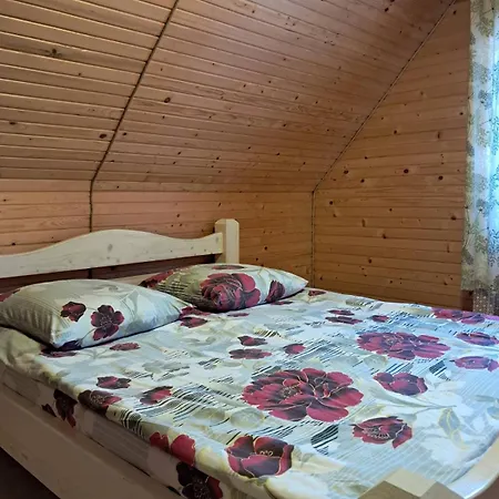 міжгорянка Guest house *