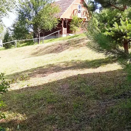 Guest house міжгорянка