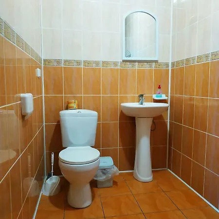 Gasthuis міжгорянка